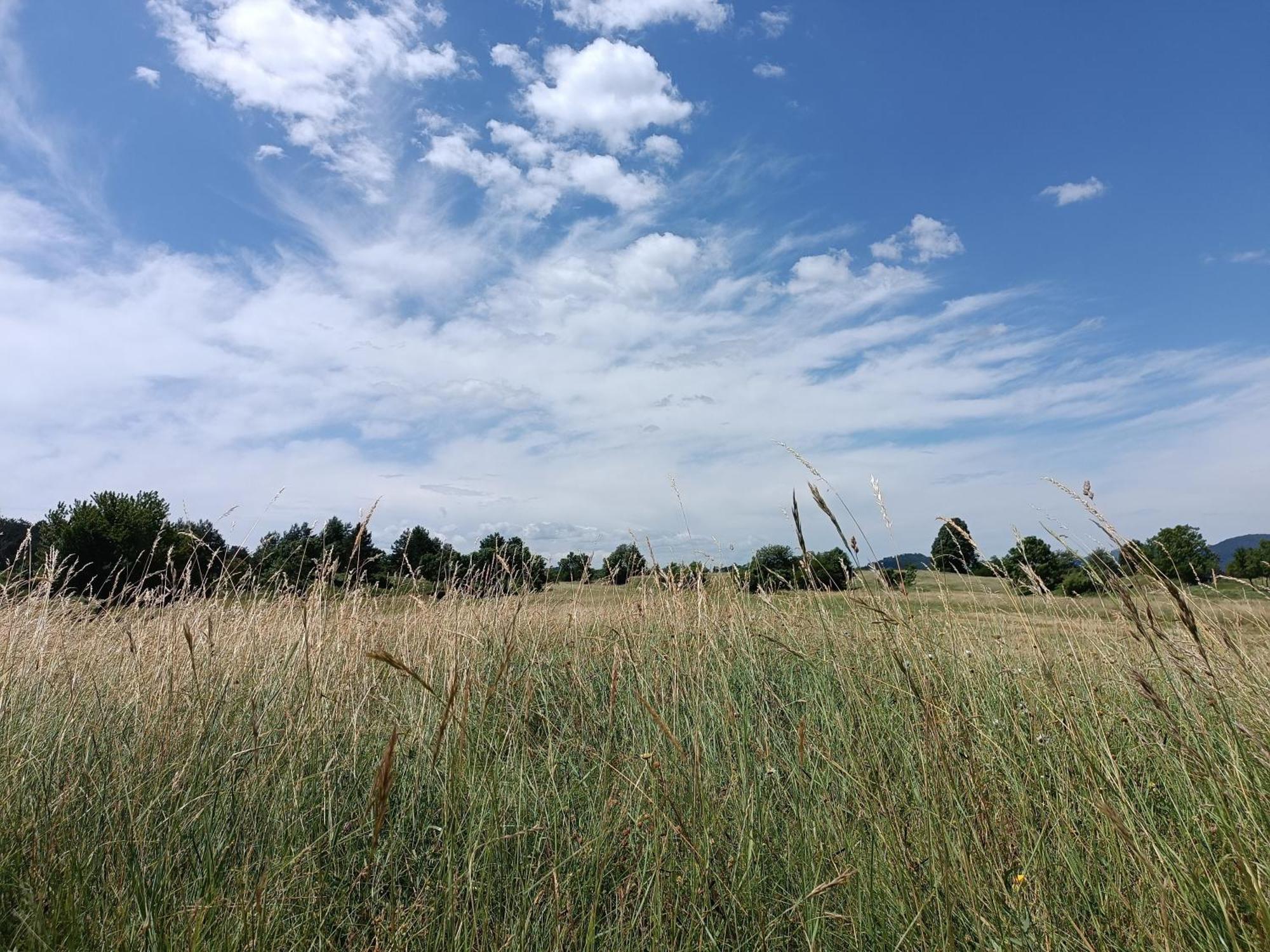 Apartma Mihatovi Pivka Bagian luar foto