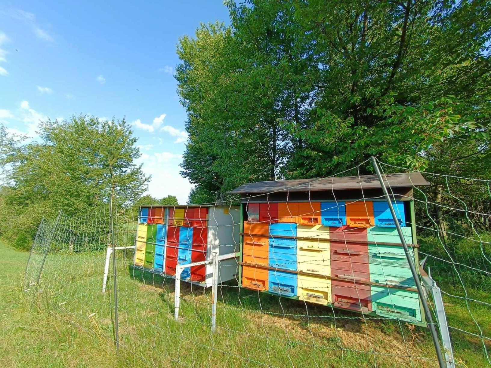 Apartma Mihatovi Pivka Bagian luar foto