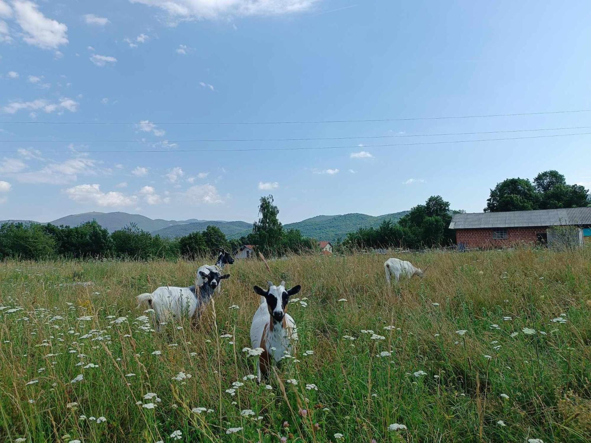 Apartma Mihatovi Pivka Bagian luar foto
